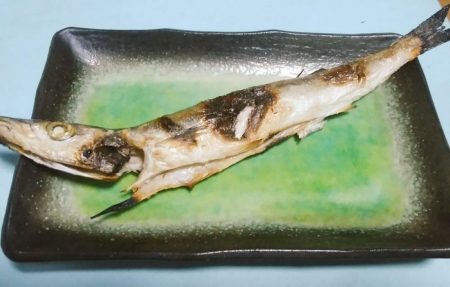 カマス大きくなったね！