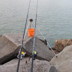 残暑のキス釣り