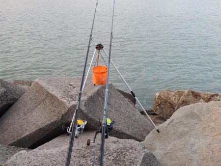 残暑のキス釣り