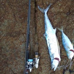 ひったくられた