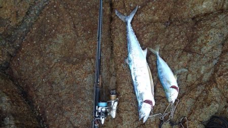 ひったくられた