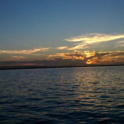 ボウズに近い釣果;;