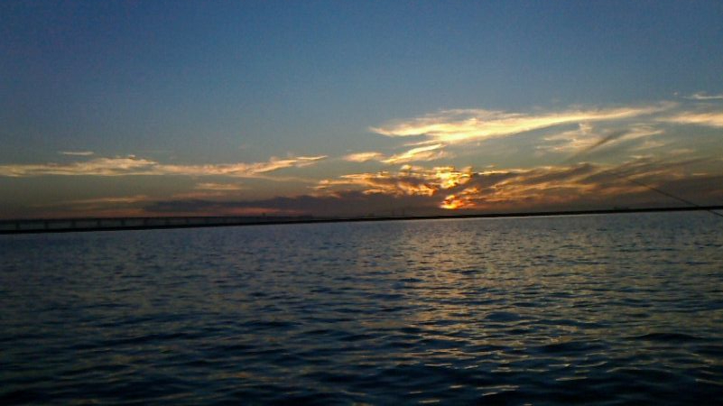 ボウズに近い釣果;;