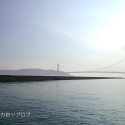 大サバフィーバー!!