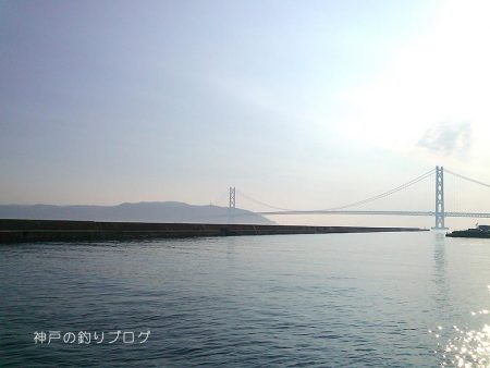 大サバフィーバー!!