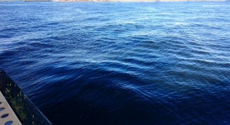 アジ◯  タチウオ×