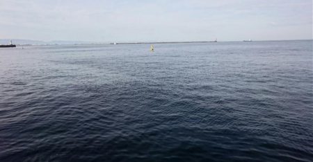 アジは好調継続中