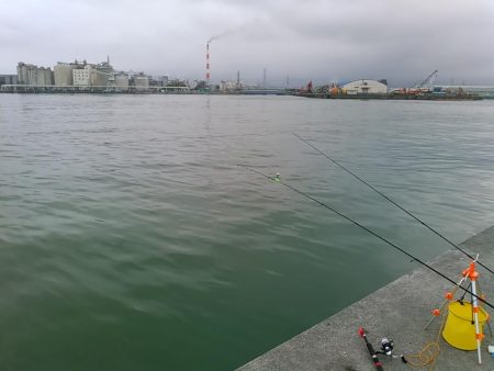 田子の浦 良型シロギス釣れてます!