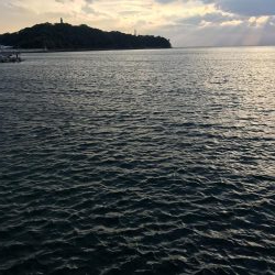 今日もエギング