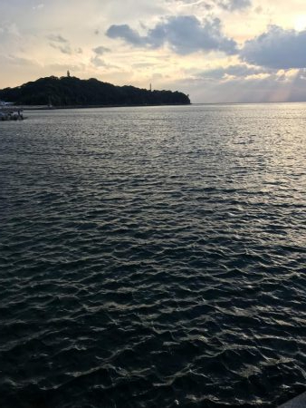 今日もエギング