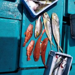 いい日にあたらんなぁ〜