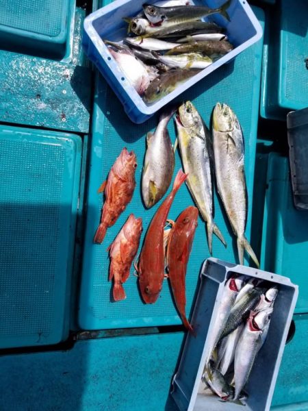 いい日にあたらんなぁ〜