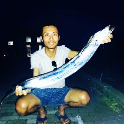 太刀魚 サゴシ サバ