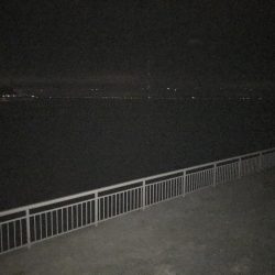 大サバ狙いも。