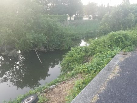 今日はサイズダウン