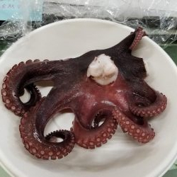 タコーレでタコつったーれ。