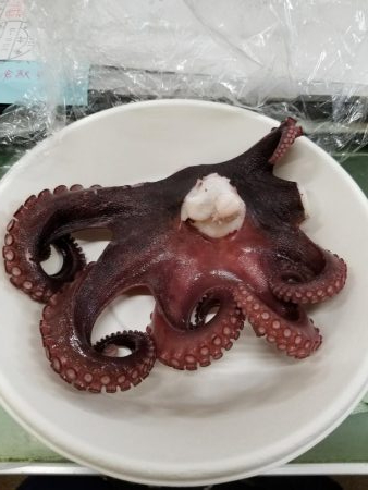 タコーレでタコつったーれ。