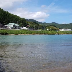 キスの顔が見れた