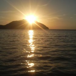 たくさん食べて 大きくな~れ!