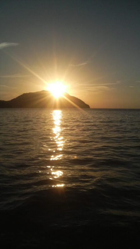 たくさん食べて 大きくな~れ!