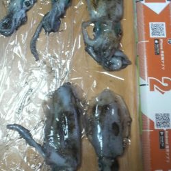 場所か腕か・・・