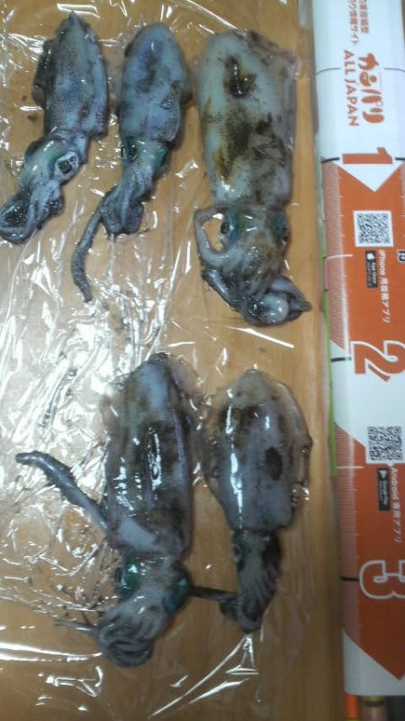 場所か腕か・・・