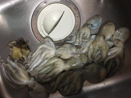 オクトパッシング