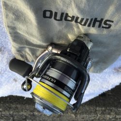 ケンサキちゃんどこに行ったの？