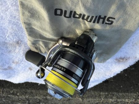 ケンサキちゃんどこに行ったの？