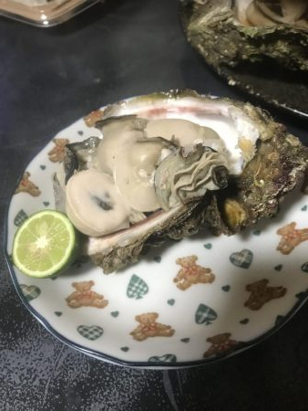 恒例の盆休み 船釣り修行