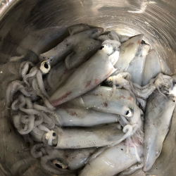 ライトエギング