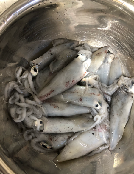 ライトエギング