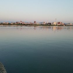 はぜ釣り ~キビレも多い~