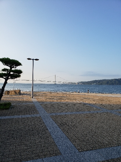 大サバ～～～～