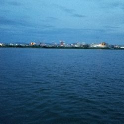 はぜ釣り ~夕方サクッと♪~