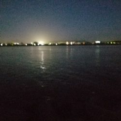 カイズ釣り ~粘りの一尾~