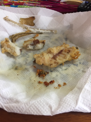 チョイ投げ五目釣り