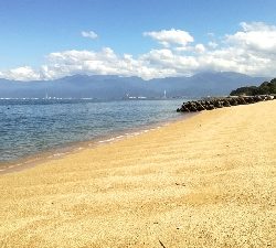 キス釣りのはずが