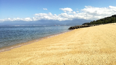 キス釣りのはずが