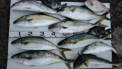 猛暑との戦い！