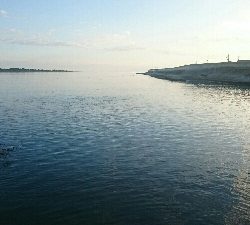 とりあえずハゼクラ