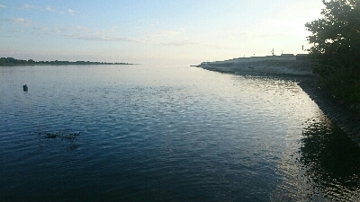 とりあえずハゼクラ