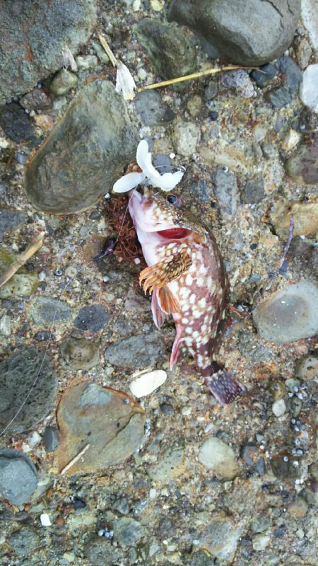 2日間のライトロック三昧