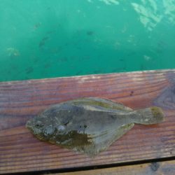 のませにて色々