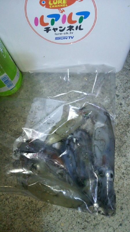 ショアケンサキゲーム