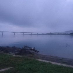 仁淀川河口シーバスゲーム