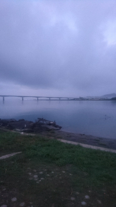 仁淀川河口シーバスゲーム