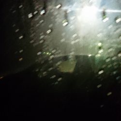 仲間と遠征も…