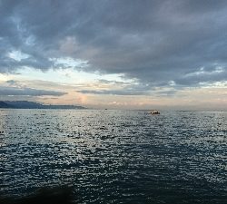 現場から中継です!