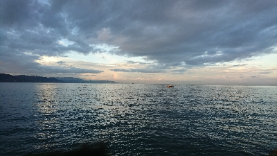 現場から中継です！